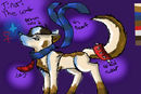 tinari-ref-sheet