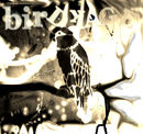 birdkage