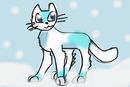 kitten-blizzard kitten-blizzard