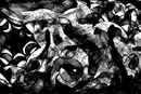 black-and-white