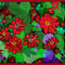 hibiscus-red by harri2