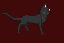 hollyleaf