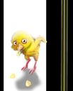 gross-bird