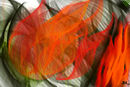 the-big-tulip