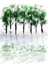 green-deciduos-