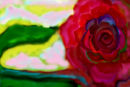 untitled-1