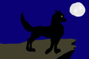 random-wolf