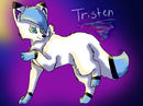 tristen