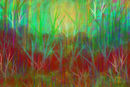 brushwood