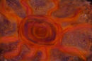 spiritual-sun