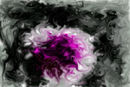 untitled-1
