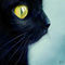 blackat by Zaat