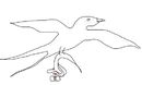 stupid-bird stupid-bird