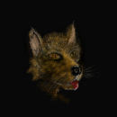 foxy-dog-thing