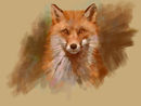 the-quick-red-fox the-quick-red-fox