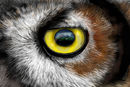heres-lookin-at-you