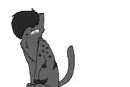 ashfur
