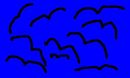 birds
