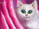 cat cat