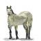 horse by iveta