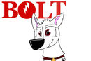 bolt