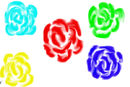 colour-roses