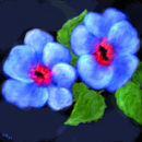 two-blues
