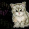 kitty by frihed