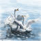 swans by Bamboo