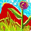 sunrise-mt-flower