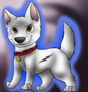bolt-the-super-dog bolt-the-super-dog