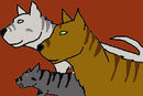 ginga-dogs