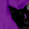 meow by ivyshadow