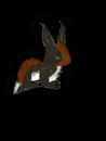 bunny bunny