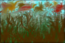 untitled-1