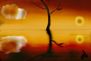 orange-reflection orange-reflection