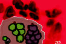 grapes-in-a-bowl-on-a-