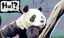 frm-animalplanet