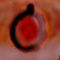 peach-on-a-faded-grey- by paintinmaster12345