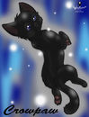 crowpaw-from-spark-cla crowpaw-from-spark-cla