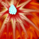 untitled-1