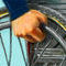 able-in-many-ways by atri