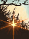 bright-sunday-morning
