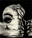 freedom-from-fear