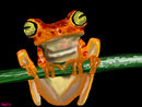 hey-cool-whats-up