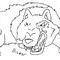 wolf by Justinbieber1102