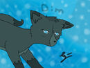 dim
