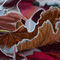 winter-leaves by kutedymples
