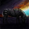 zebra by betty