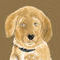 sad-puppy by CHR